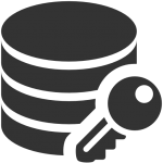 Data-Data-encryption-icon